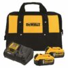 DeWALT DCB205-2CK 20V MAX* 5.0Ah Li-Ion Battery Starter Kit, 2-Pack w/ Charger & Tool Bag